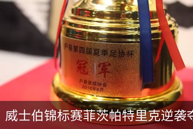 威士伯锦标赛菲茨帕特里克逆袭夺冠 谢奥菲勒T4